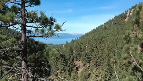 Rising-Pedestal-View-Tall-Pine-Trees-Reveal-Large-Fresh-Water-Lake-and-Paved-Road