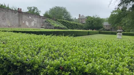 showing off this grassy path with hedges and a building in background