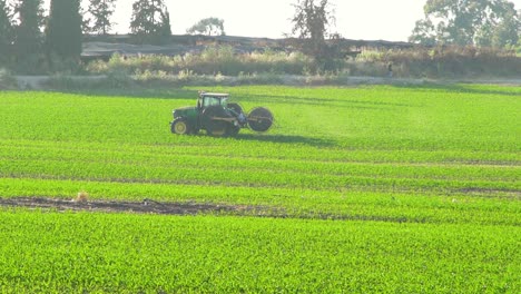 Tractor places plastic drips in a corn field, Large open Green corn field, At sunset, John Deere Tractor. Preparation of the fields for summer, Fields in Israel.