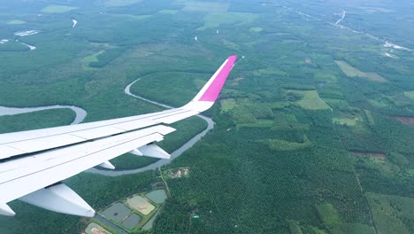 aerial view of jungle and river from airplane window