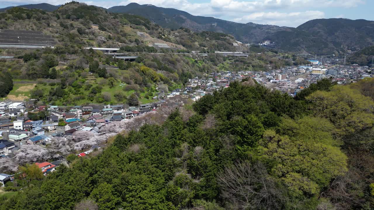 Stunning drone sweeping view over rural town in Japan with Sakura cherry blossoms
