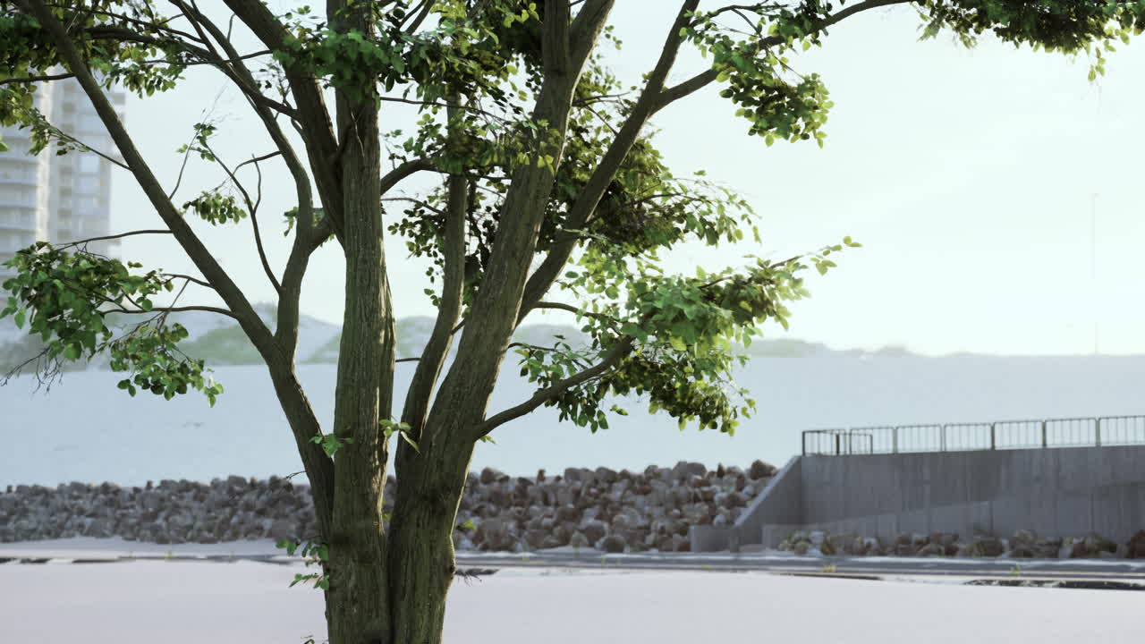 A lone tree stands in a calm urban landscape