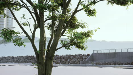 un árbol solitario se encuentra en un paisaje urbano tranquilo