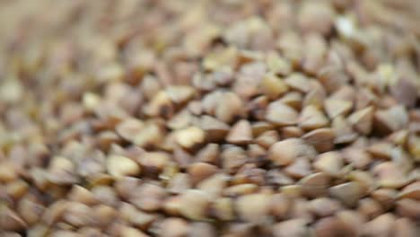 buckwheat, macro shot, buckwheat on table spinning to right