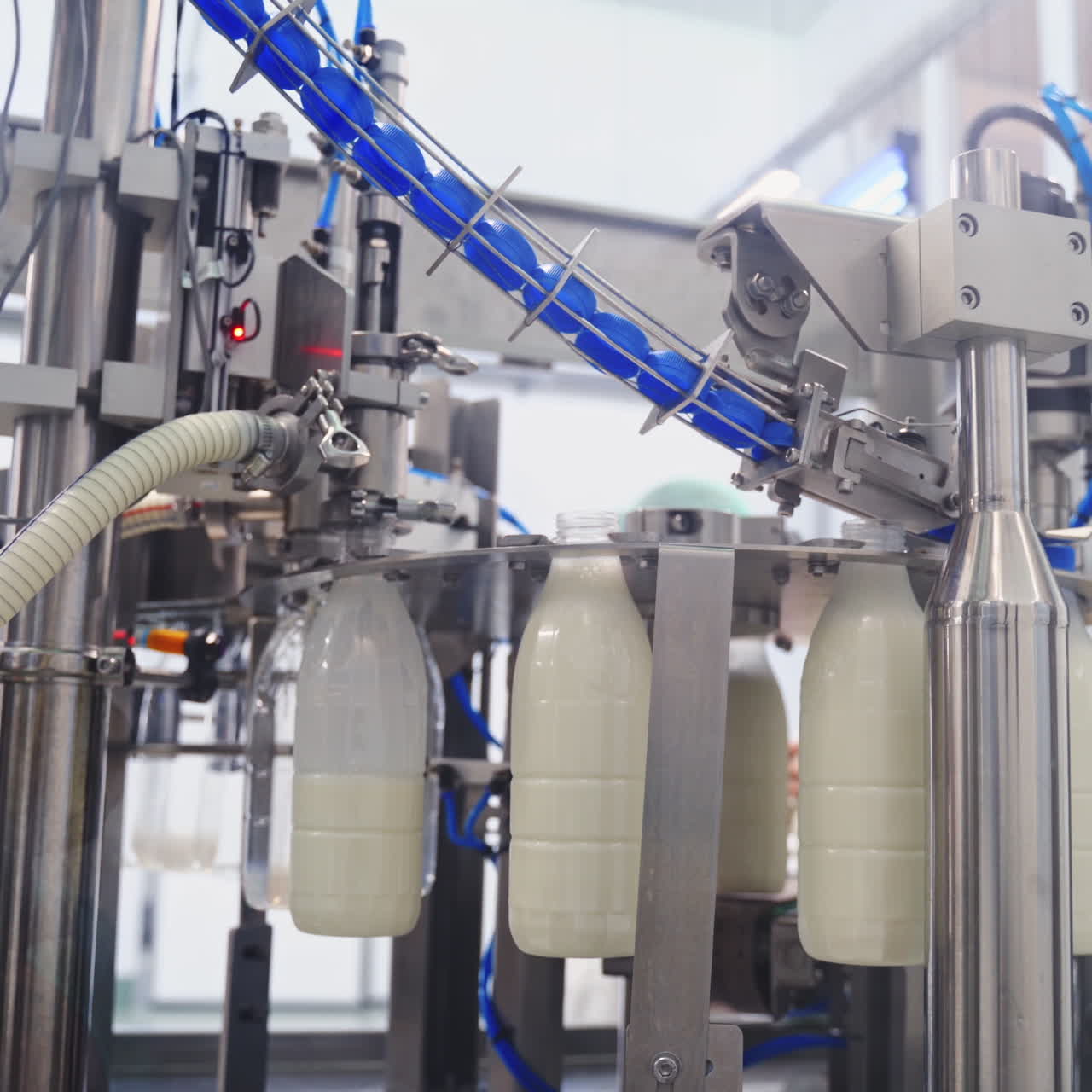 Robotic equipment for bottling milk. Manufacturing process of pouring milk into bottles on a dairy factory. Dairy production.