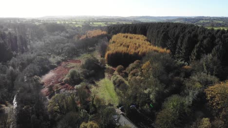 aerial view of woodland forest located in blackdown hills area of outstanding natural beauty south of otterford in somerset