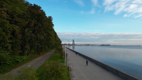 aerial flight over shore path with walking people