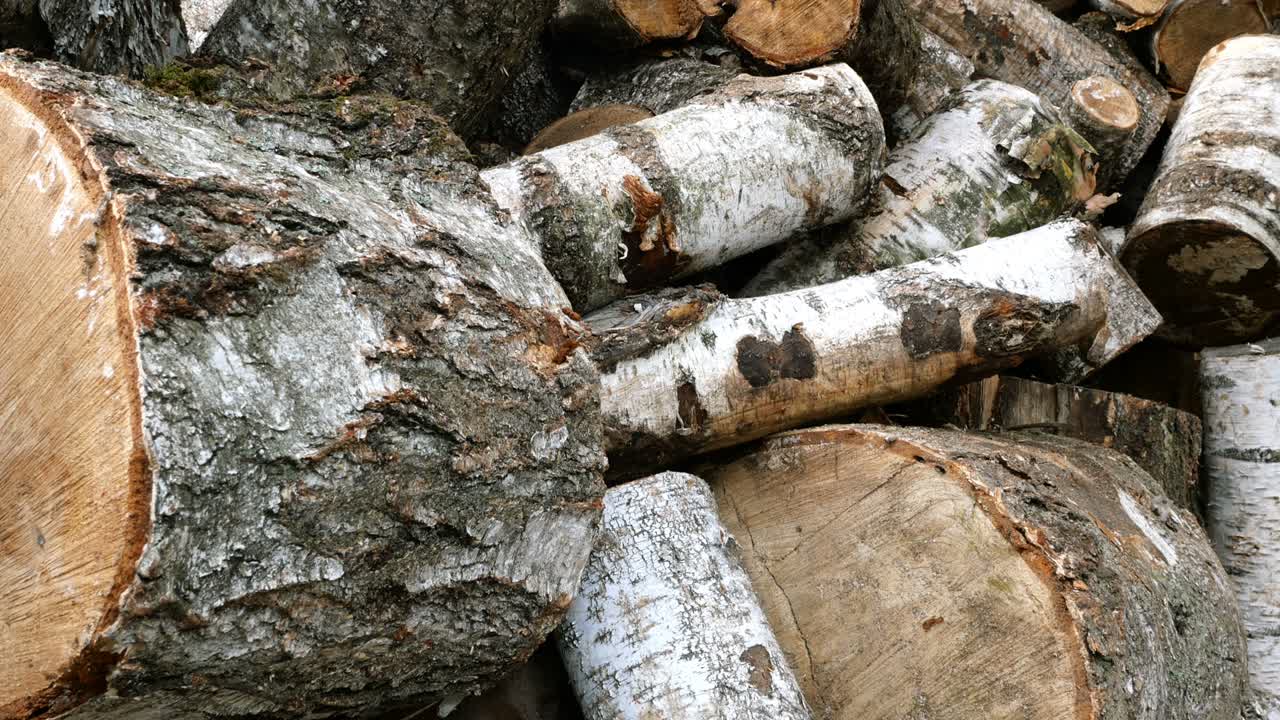 Pile of cut birch logs of different cross-sections are piled up on backyard or warehouse.