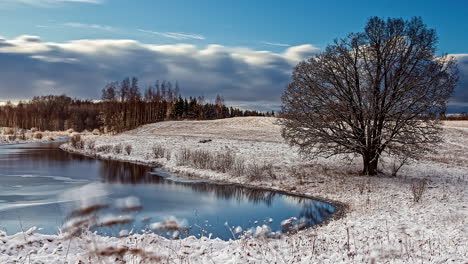 Vista-De-Lapso-De-Tiempo-De-La-Nieve-Soleada-Inviernos-Día-De-Nubes-Rodando-Pasado-Reflejándose-En-La-Orilla-Del-Río