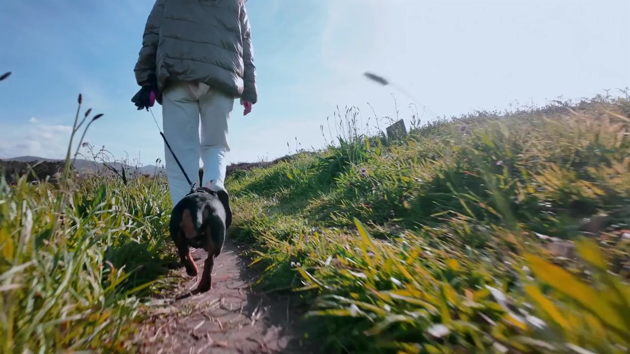 Woman walks ahead while a small black dachshund follows along a sunny grassy countryside trail.