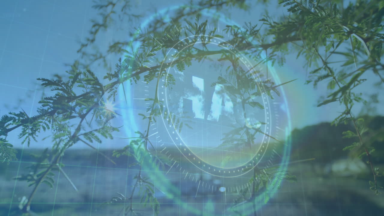 Digital interface animation overlaying tree branches in natural landscape setting