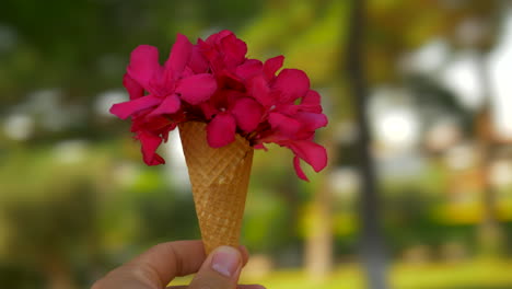 girando con el ramo rojo de verano en el cono de waffle