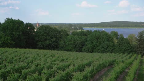 view from the werderaner wachtelberg at river havel in werder