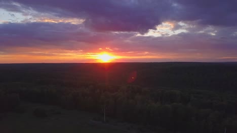 sunset over a forest