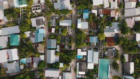 an aerial shot of a village landscape and a tight neighbourhood with trees