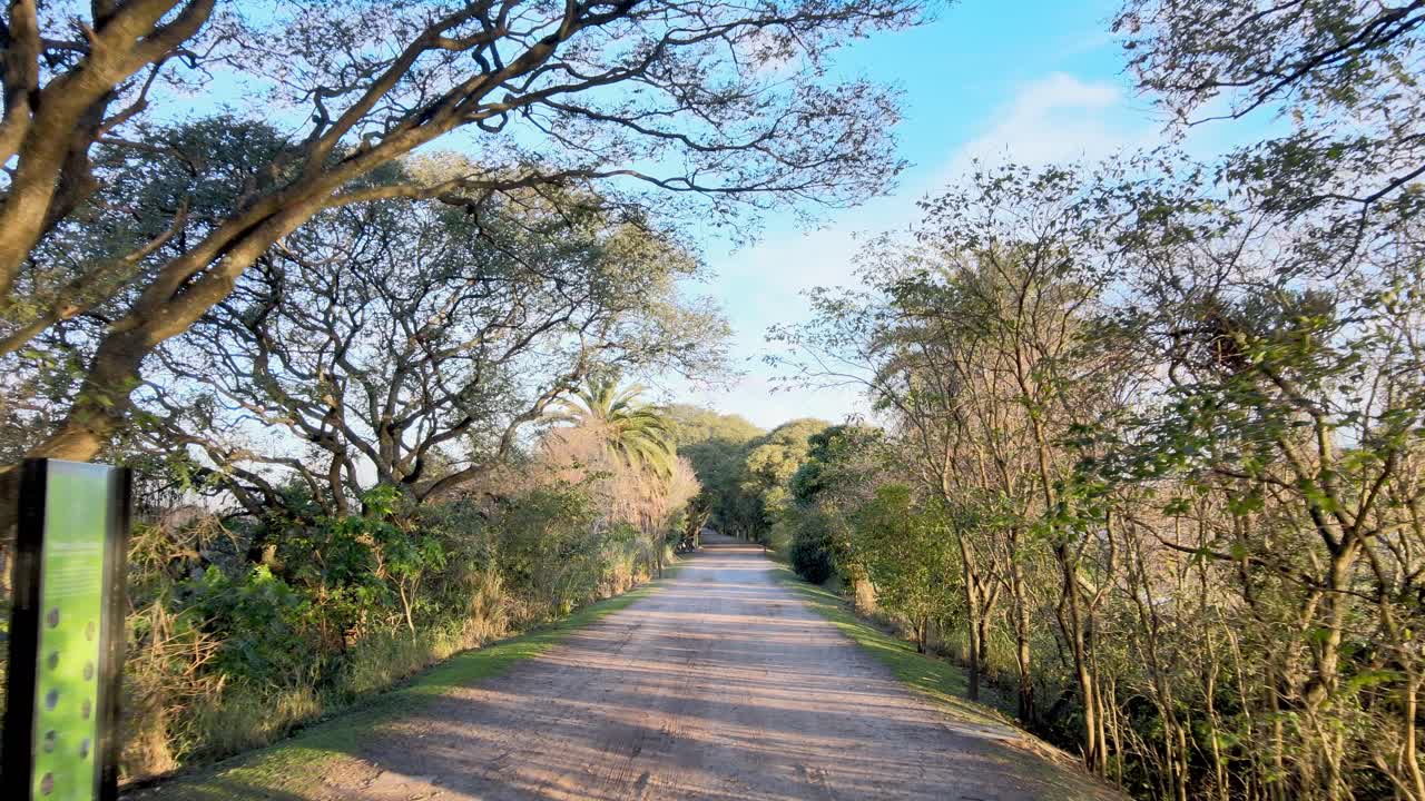 camino de grava en la reserva ecológica de buenos aires, vuelo aéreo lento