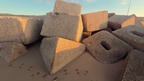 concrete blocks and cubes along the beach, where coastal defense structures are partially submerged in sand