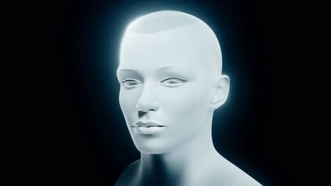 3d model of a human head