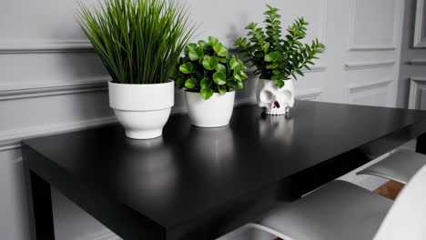 indoor plants on a modern black table, including a skull planter
