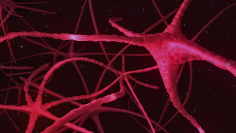 neurons pulsing through pink nervous system