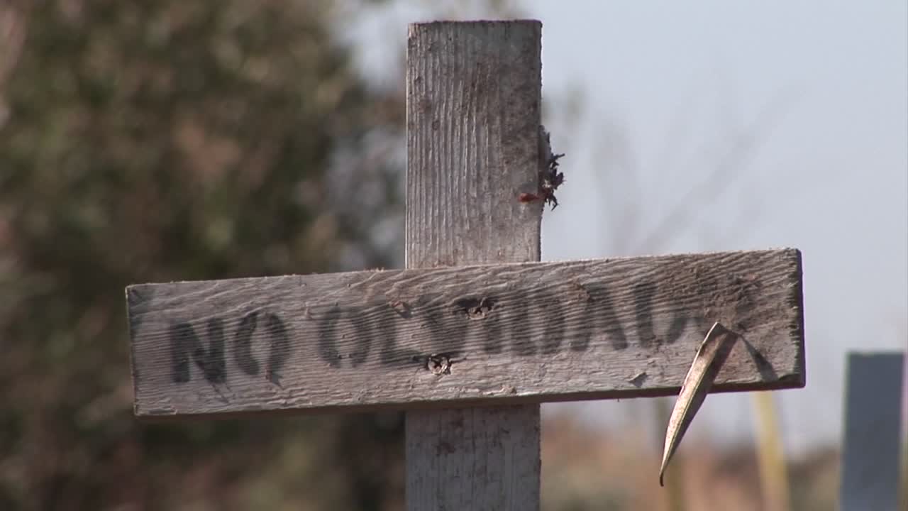 no olvidado 표시가 있는 오래된 더러운 나무 십자가가 바람에 날리는 잡초 근처에서 자라고 있습니다.