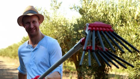agricultor que utiliza herramientas para recoger aceitunas durante la cosecha