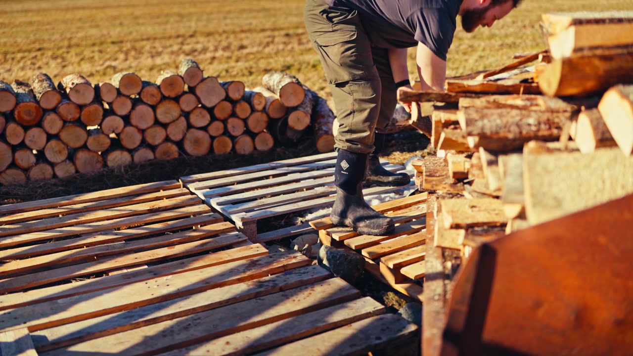 Man Stacks Chopped Firewood Onto Wooden Pallets For Storing And Drying In An Outdoor Field On A Farmstead.