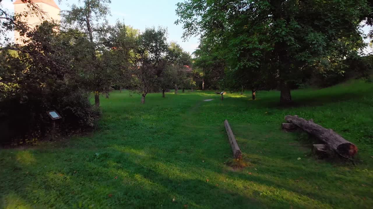 Dron letí mezi stromy na louce v parku.