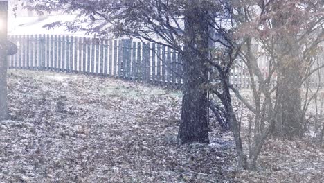 Ráfaga-Blanca-Como-La-Nieve-En-Muskegon-Durante-El-Otoño-Tardío