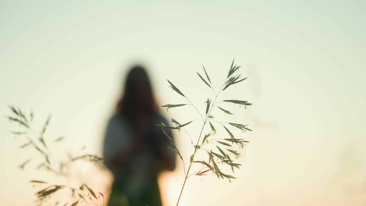 Close up of delicate grass swaying gently in breeze during golden hour with blurred silhouette of person in background, soft evening light creating dreamy peaceful natural atmosphere
