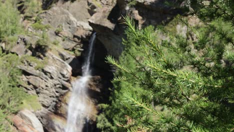 Vista-Cercana-De-Las-Ramas-De-Un-Pino-Y-La-Cascada-De-Lillaz-En-El-Fondo-En-El-Valle-De-Aosta,-Italia