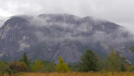 Campos-Dorados-Con-Fondo-Montañoso-Cubierto-De-Nubes-Brumosas