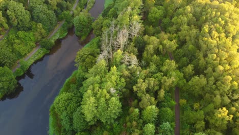 early morning top down aerial view of lake and forest in valley