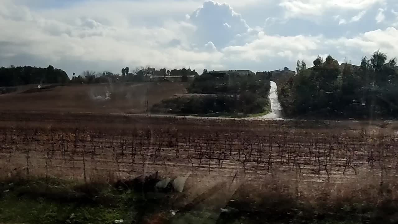 Sebuah ladang dengan beberapa pohon dan sebuah rumah di kejauhan.