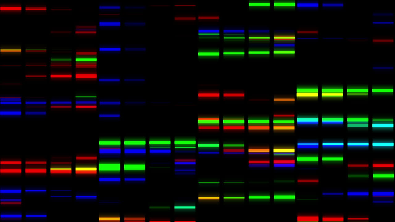 animación de cuadrados de colores que se mueven rápidamente