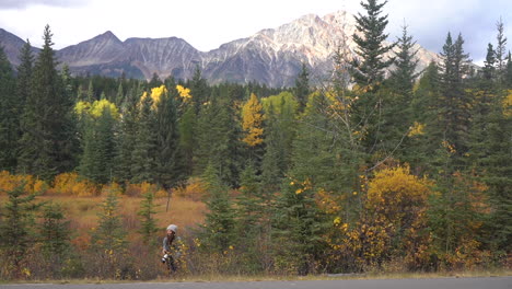 female landscape photographer coming out from field in colorful landscape of jasper national park canada in fall peak, slow motion