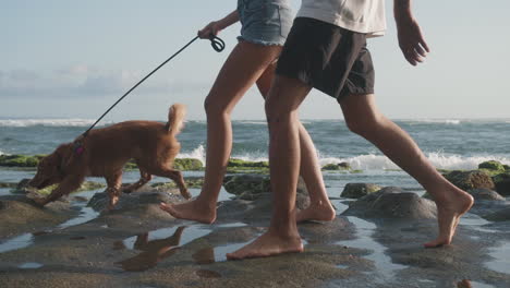 walking on rocky ocean shore