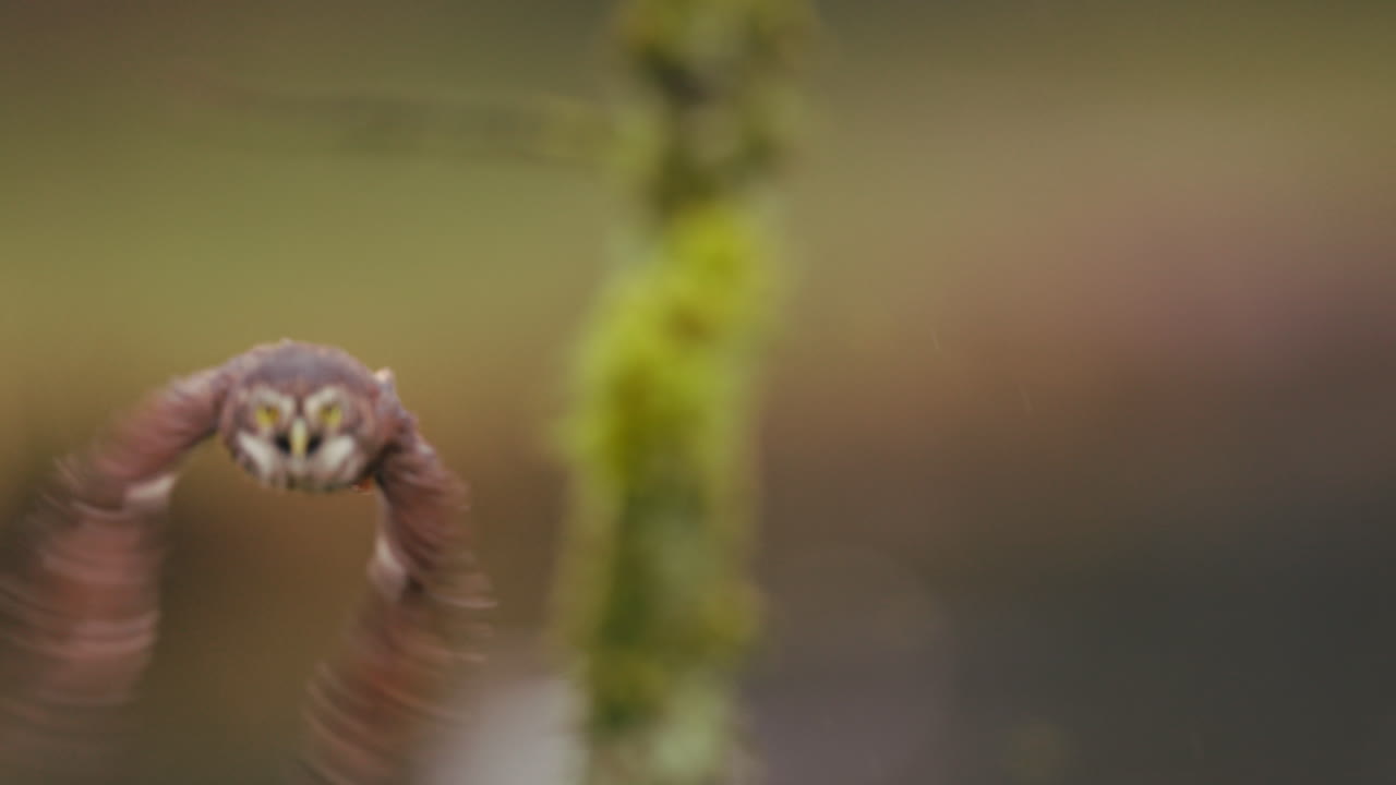 나가지 에 있는 작은 부이