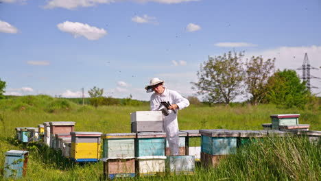 apiarist working in the bee farm using smoker. angry bees flying in the air over the bee farm. nature background.