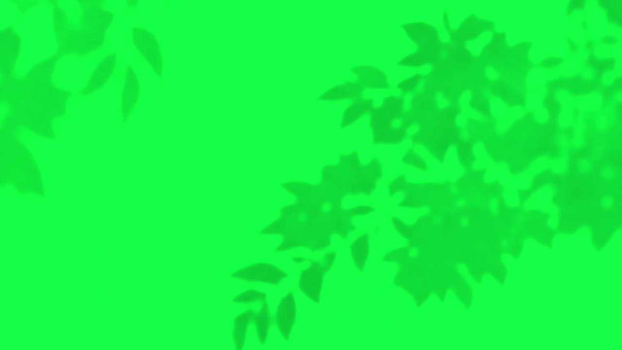 Abstract foliage silhouette animation, transparent 4K video, green screen