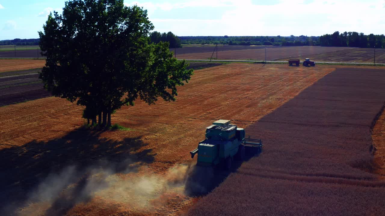 여름에 시골의 나무 근처에서 곡물을 수확하는 농업 수확기