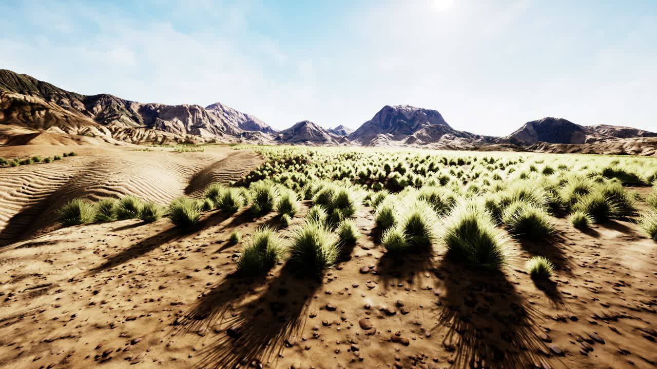 덤불 과 풀 이 있는 평평 한 사막