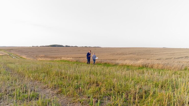 Young Farmers Discussing At Maize Field Agriculture