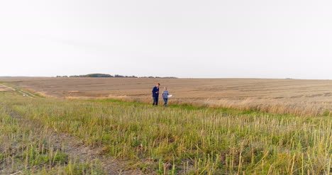 young farmers discussing at maize field agriculture