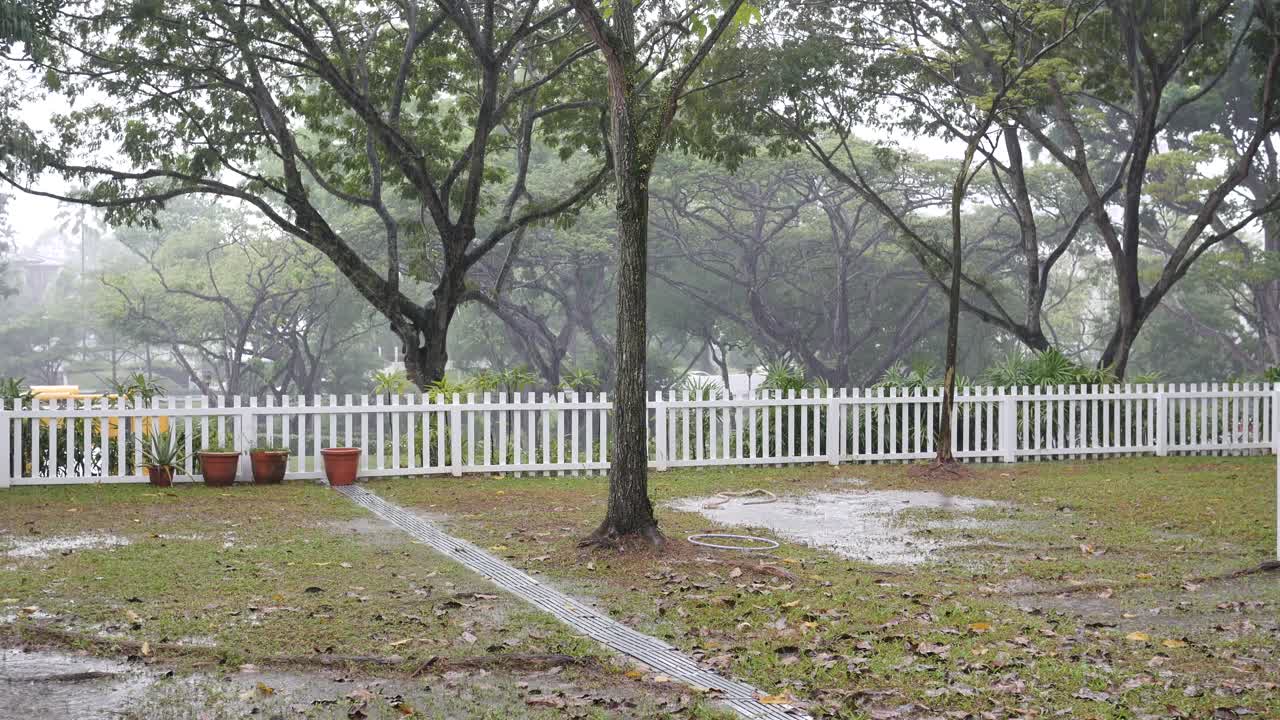 싱가포르의 공원에서 비가 오는 날