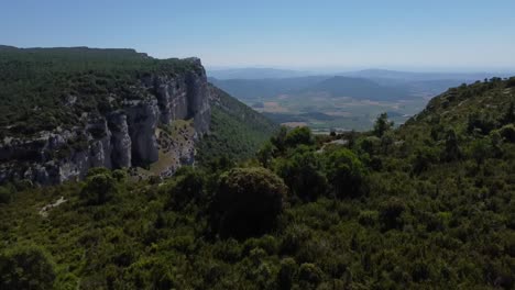 aerial shot of a lush green forest that ends in a cliff, a relaxing image of nature and a natural landscape