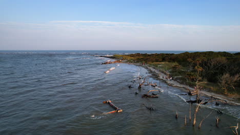 aerial view of a beautiful beach with people