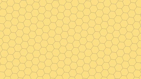 the background consists of yellow bee cells, after effect