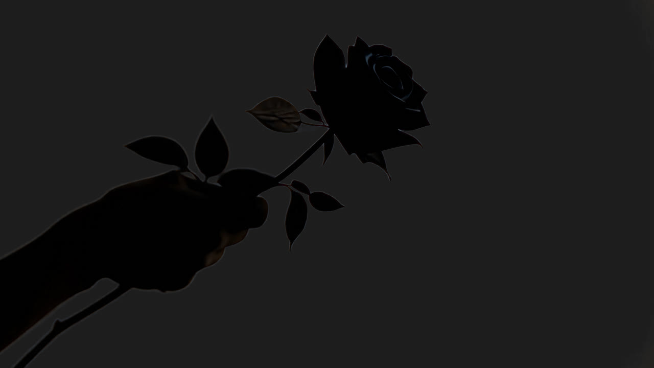 Rose in hand silhouette animated overlay, transparent 4K video, alpha channel, ProRes 4444