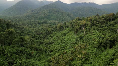 Drone-flying-through-a-rainforest-valley-with-jungle-mountains-in-the-background